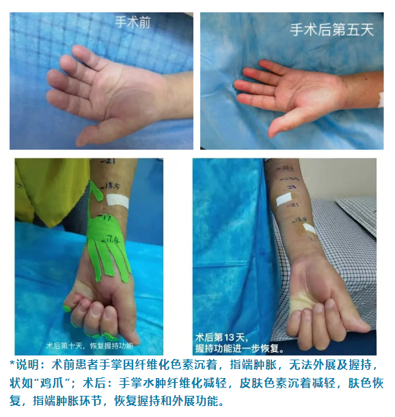 微信截图_20230825110351
